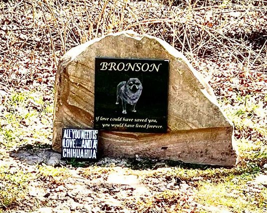 Creating Lasting Memories: Custom Granite Pet Memorials by JP Laserworks